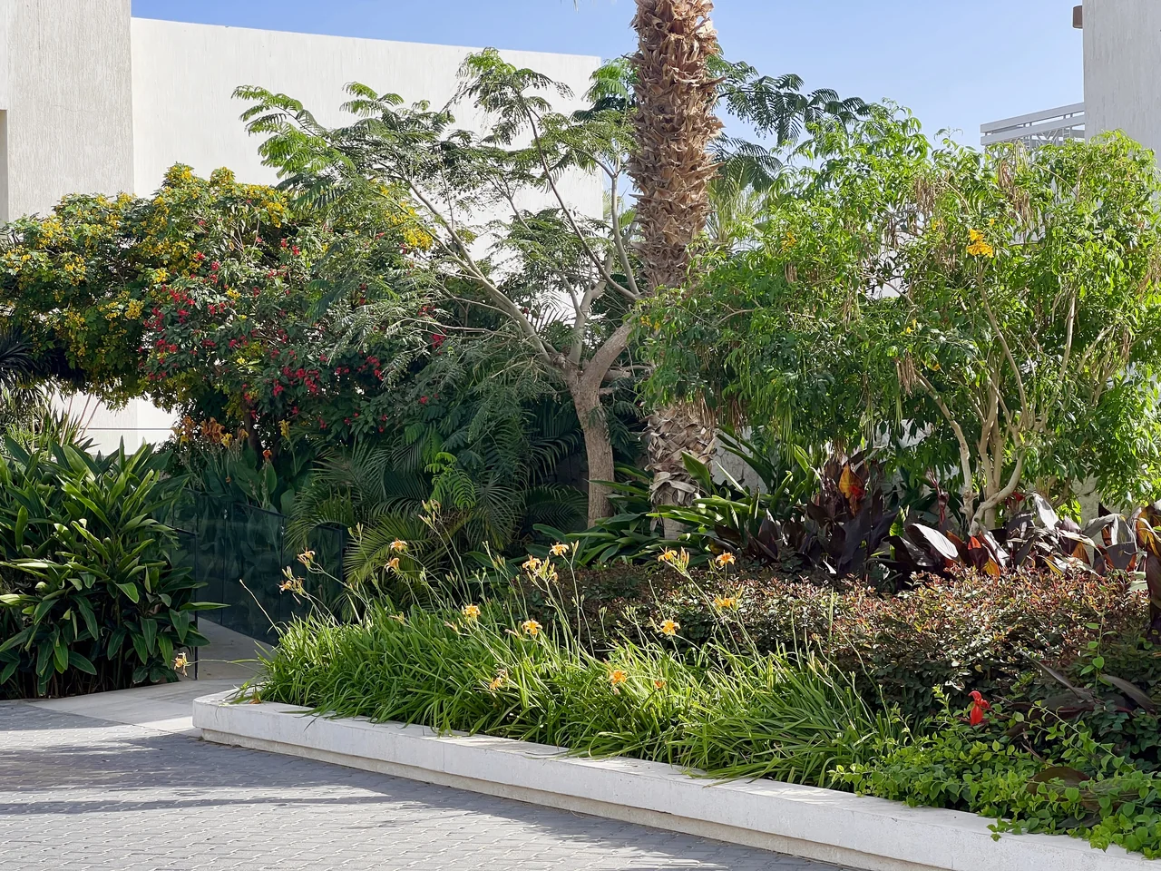 Hilton Sharks Bay — project view 7