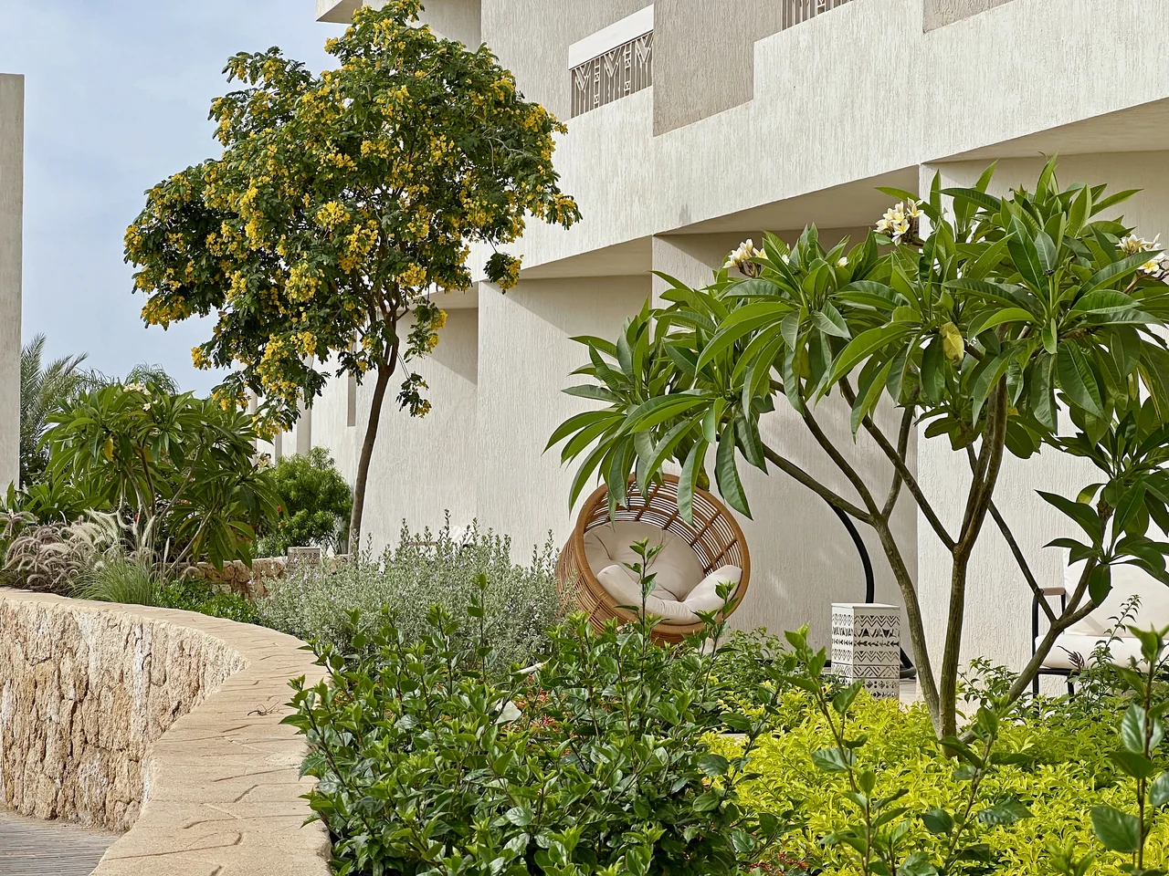 Hilton Sharks Bay — project view 8