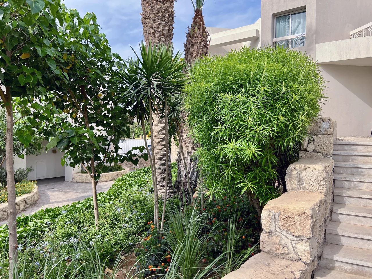 Hilton Sharks Bay — project view 16