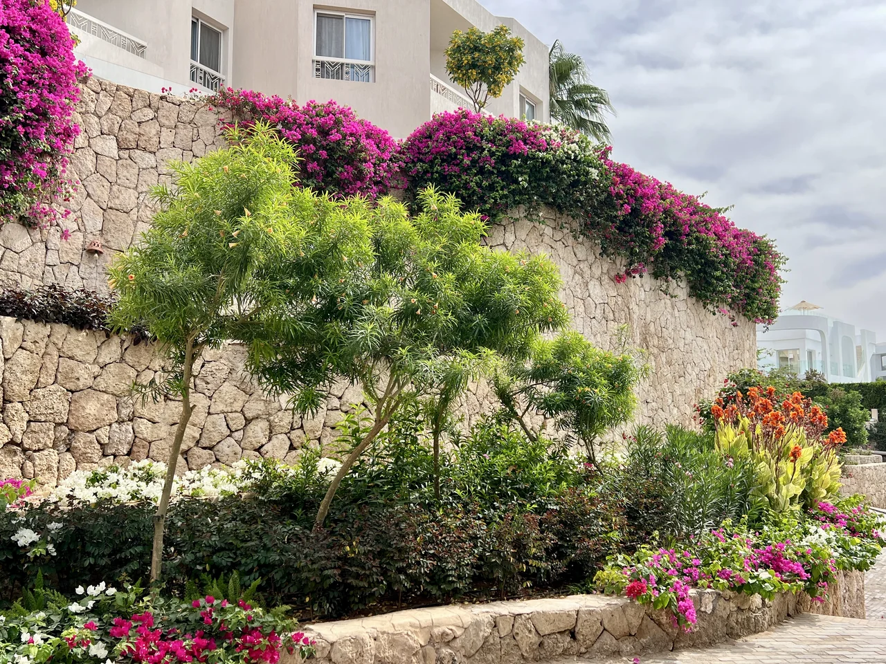 Hilton Sharks Bay — project view 6