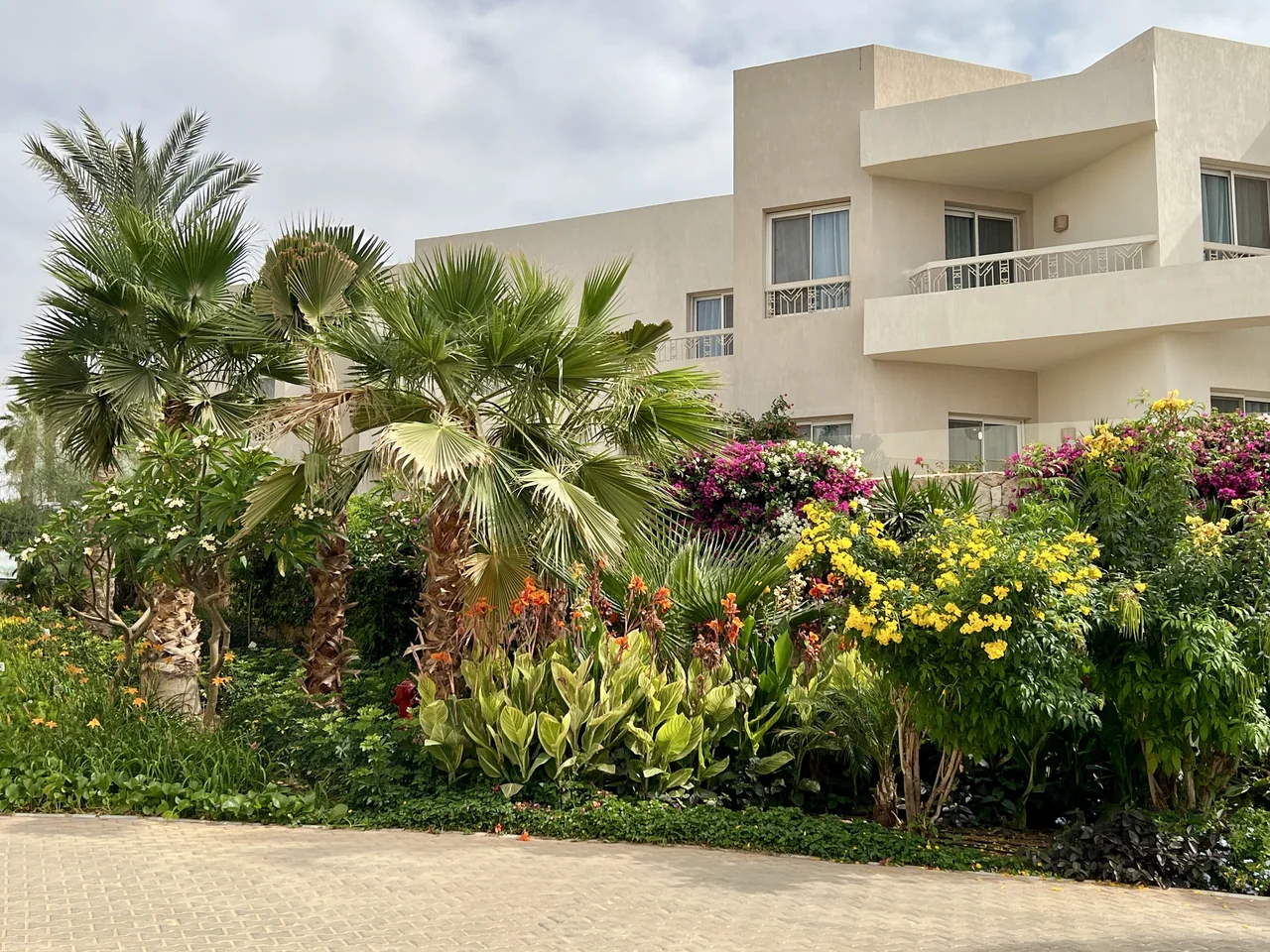 Hilton Sharks Bay — project view 5
