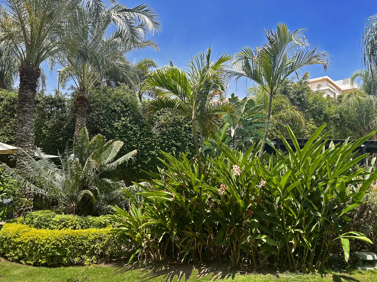 Mena Garden City