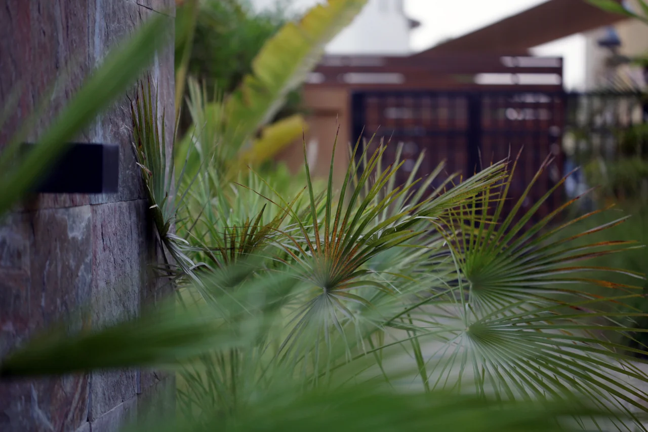 Mivida — project view 5
