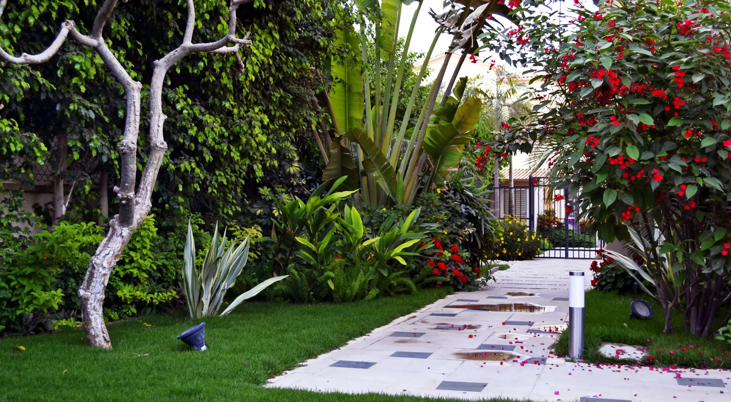 Elegant garden pathways with a beautifully landscaped residential space in Egypt