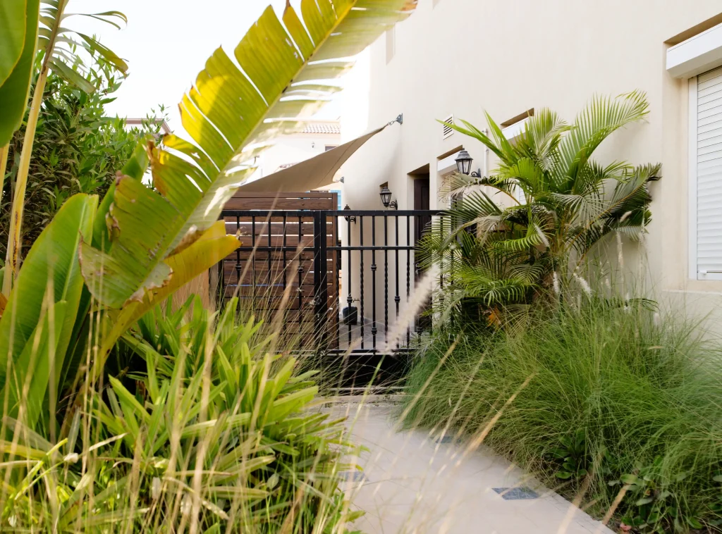 IC5B0135-Recovered_1_11zon