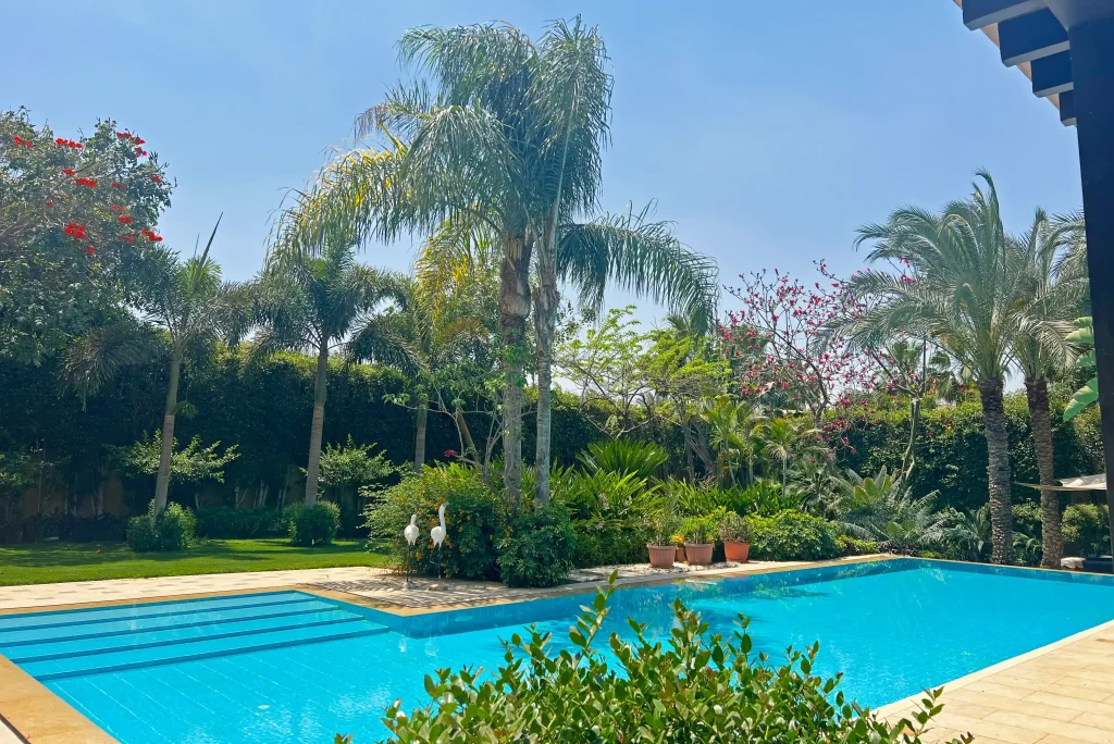 IMG_6428_3_11zon Modern residential pool with sleek design surrounded by exotic plants in Egypt