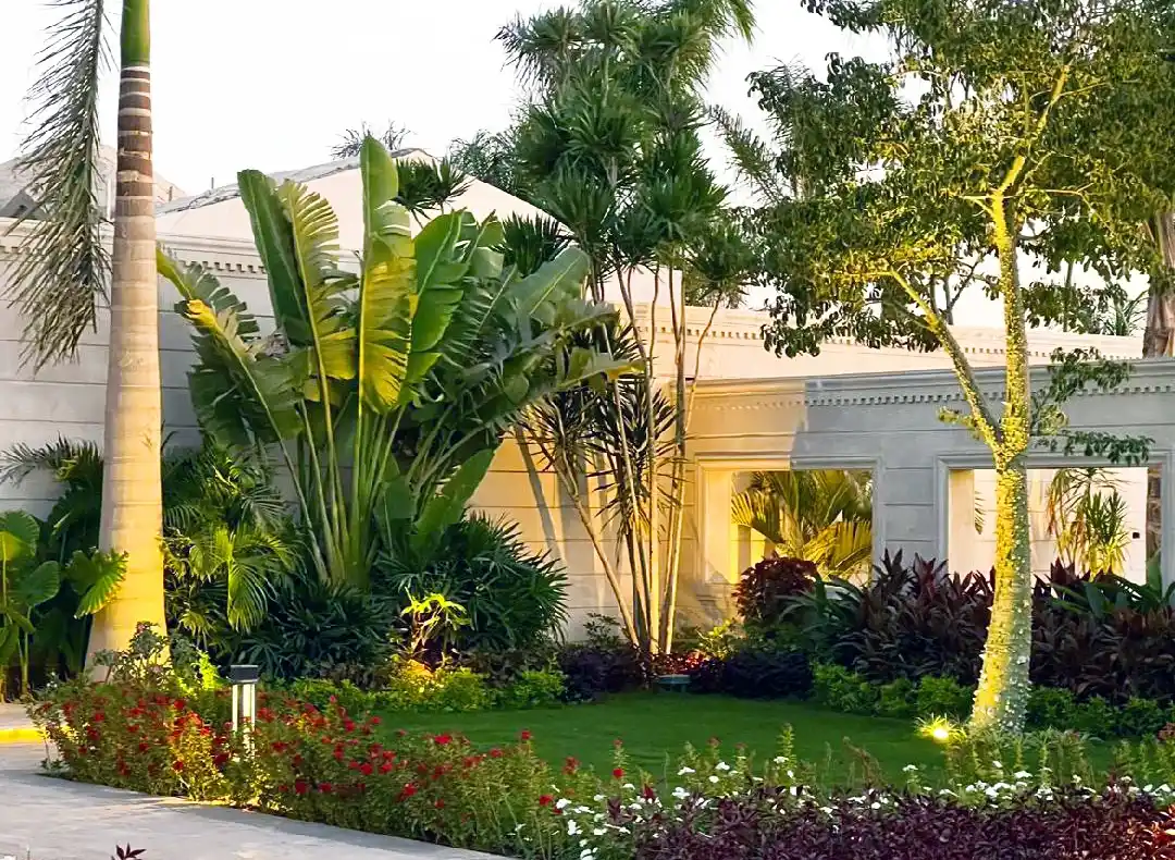 Beautiful residential garden with lush greenery and exotic trees in Egypt.